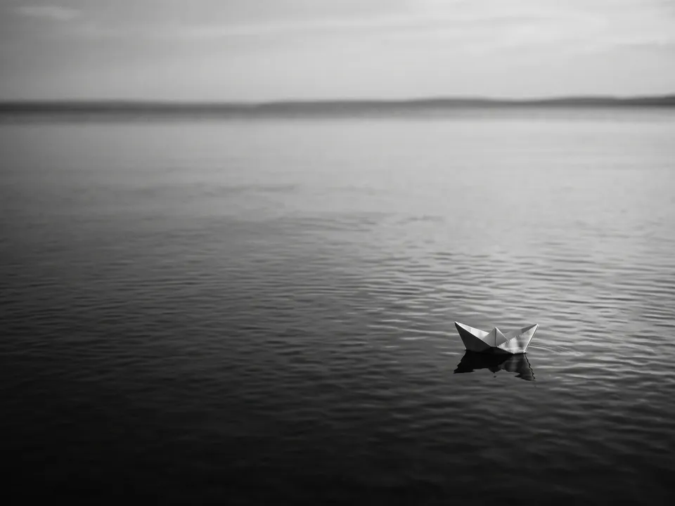 Black and white photo: Stark monochrome with deep shadow