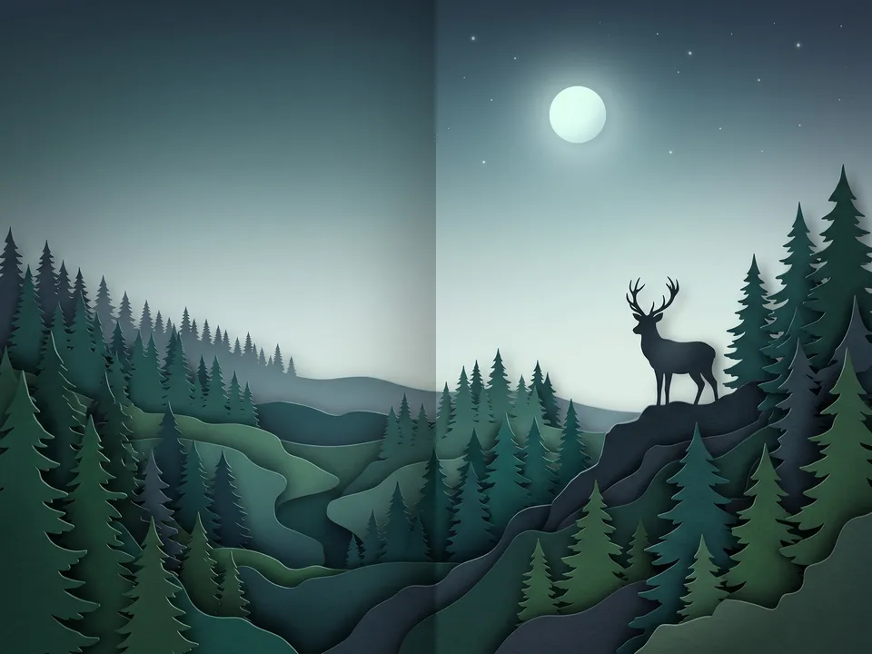 Paper cut: Layered paper silhouettes